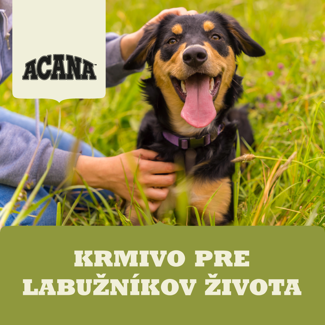 Pes s vyplazeným jazykom sedí na lúke, logo ACANA