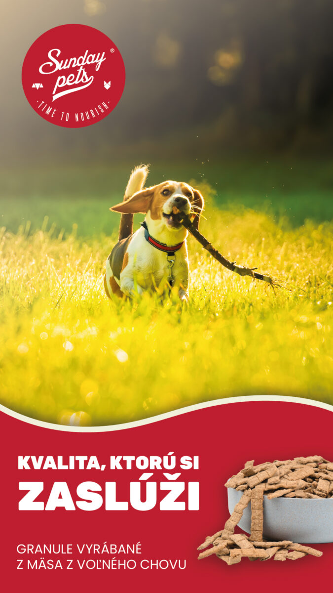 SK-Inz-SP1 Pes s konárom v papuli na lúke – krmivo Sunday Pets pre psy